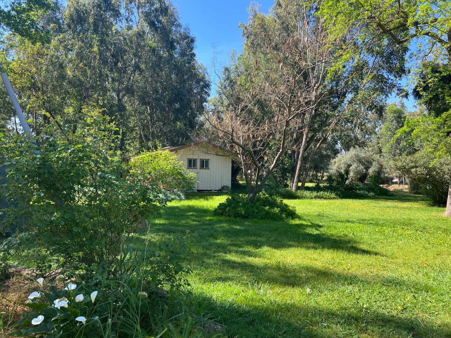 12188 Clay Station Road Herald, CA 95638 - Photo 40 of 89