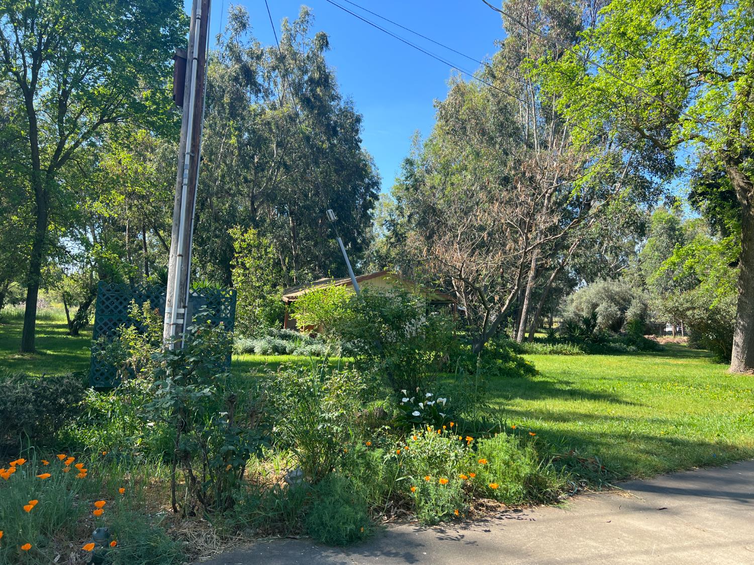 12188 Clay Station Road Herald, CA 95638 - Photo 41 of 89