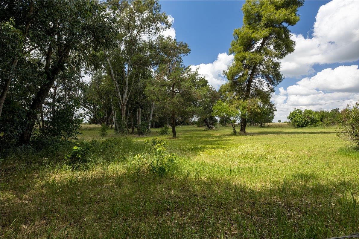 12188 Clay Station Road Herald, CA 95638 - Photo 46 of 89 Back fenced field