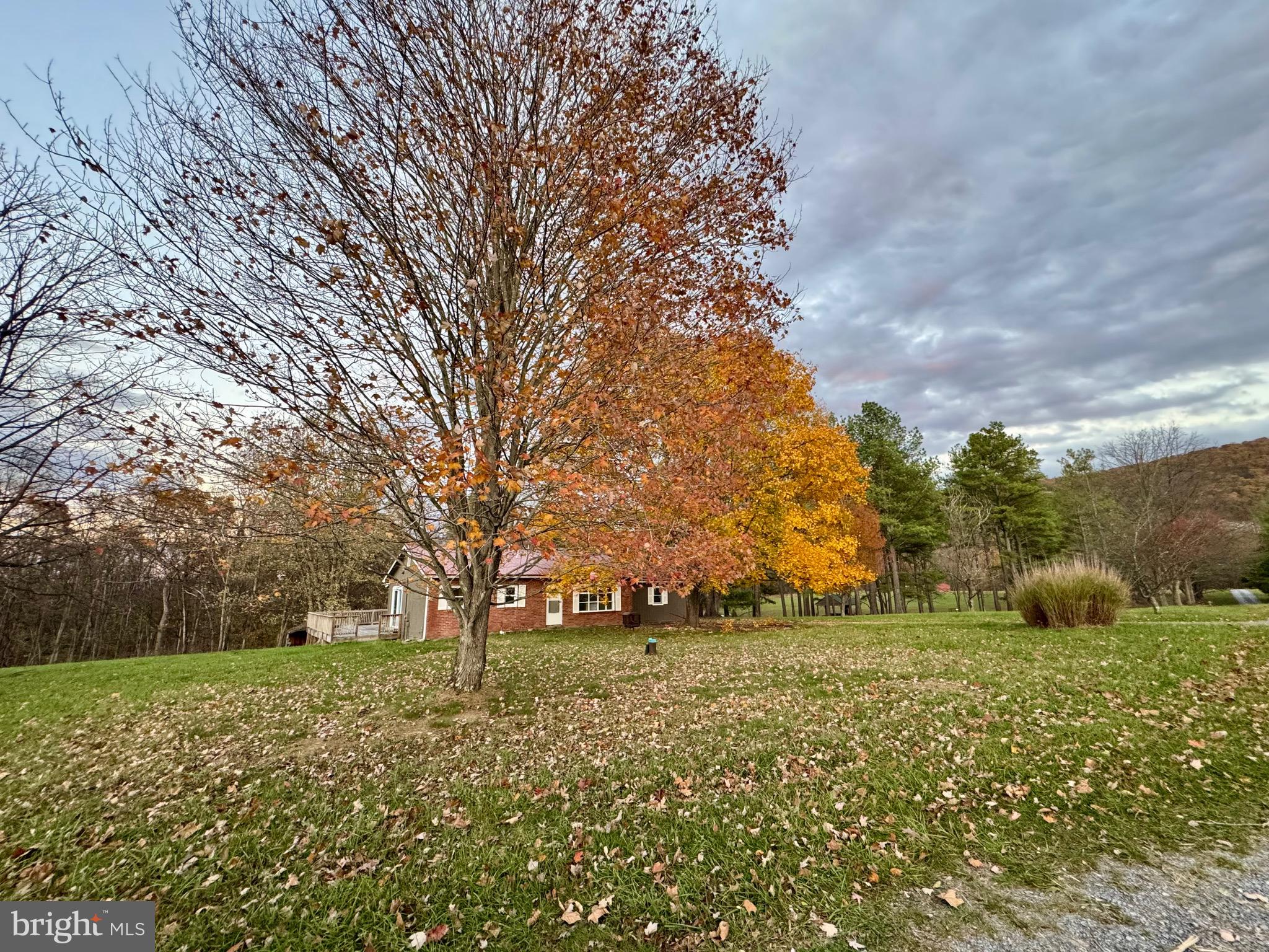 852 Stellar Way Great Cacapon, WV 25422 - Photo 3 of 7 a view of outdoor space with deck and trees
