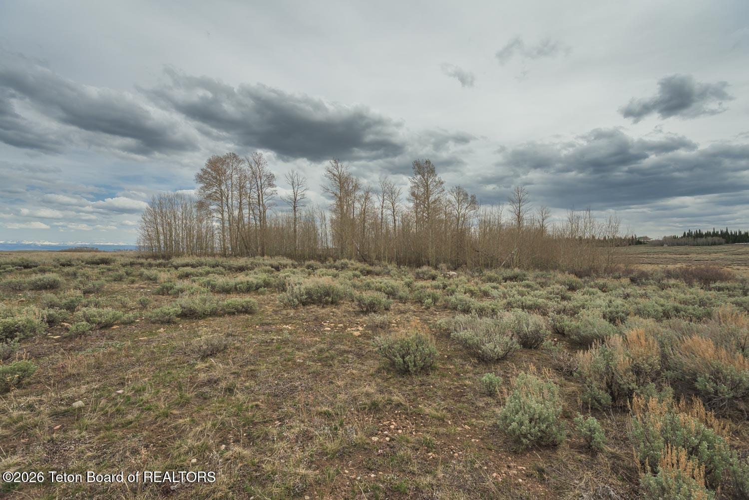 4 Aspen Ridge Road Daniel, WY 83115 - Photo 8 of 15 DSC_3619
