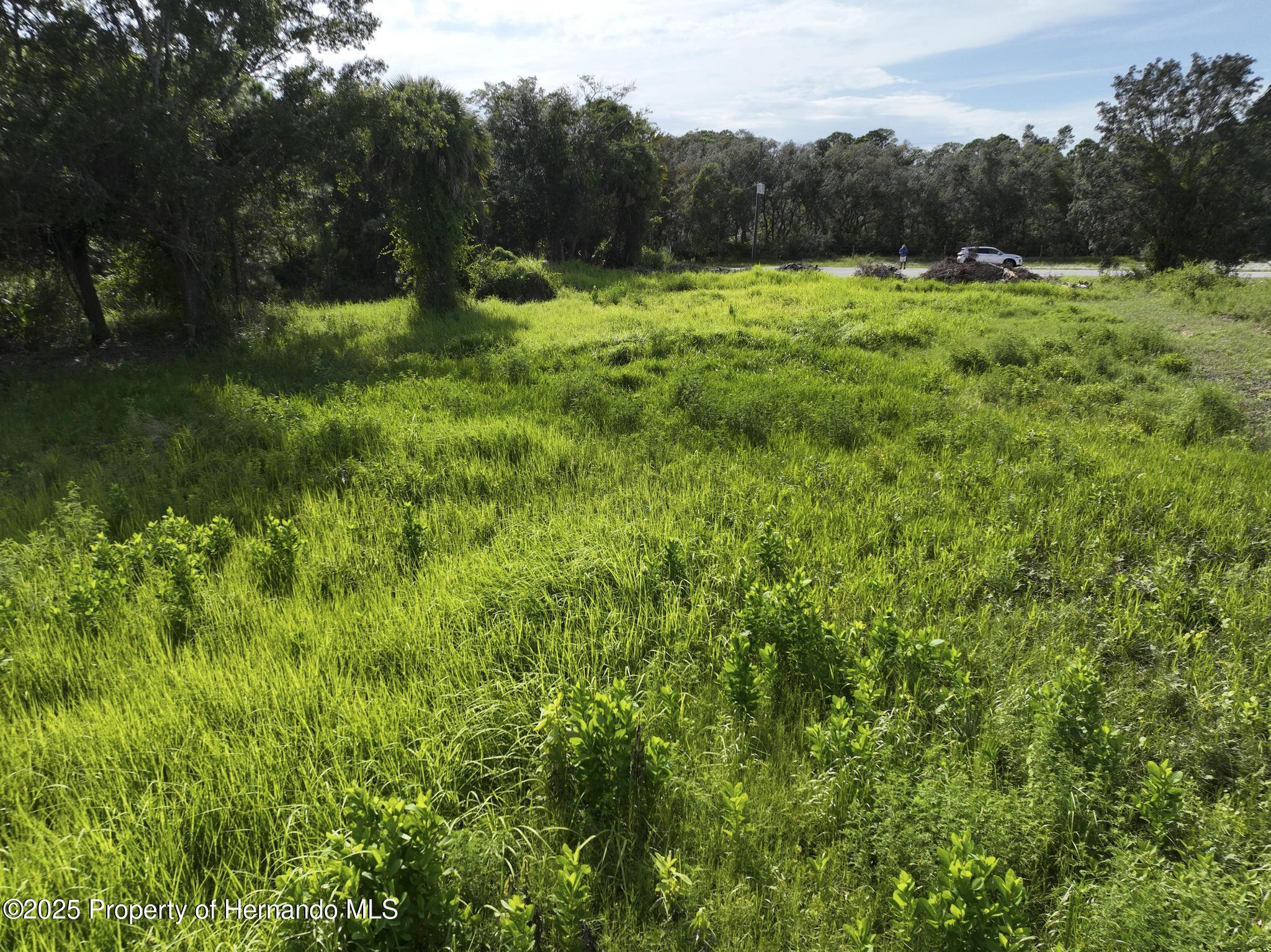 290 Suzanne Drive Spring Hill, FL 34607 - Photo 5 of 15