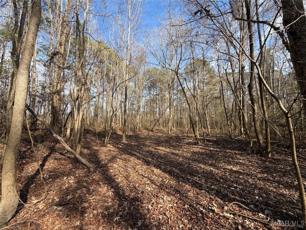 31 Highway Letohatchee Al Letohatchee, AL 36047 - Photo 21 of 23 Gallery Image 21