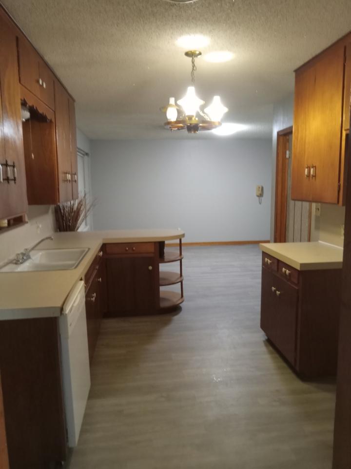 709 West 11th Street Elgin, TX 78621 - Photo 11 of 12 Kitchen with light countertops, a peninsula, suspended lighting, light wood-style flooring, and wood finish cabinetry