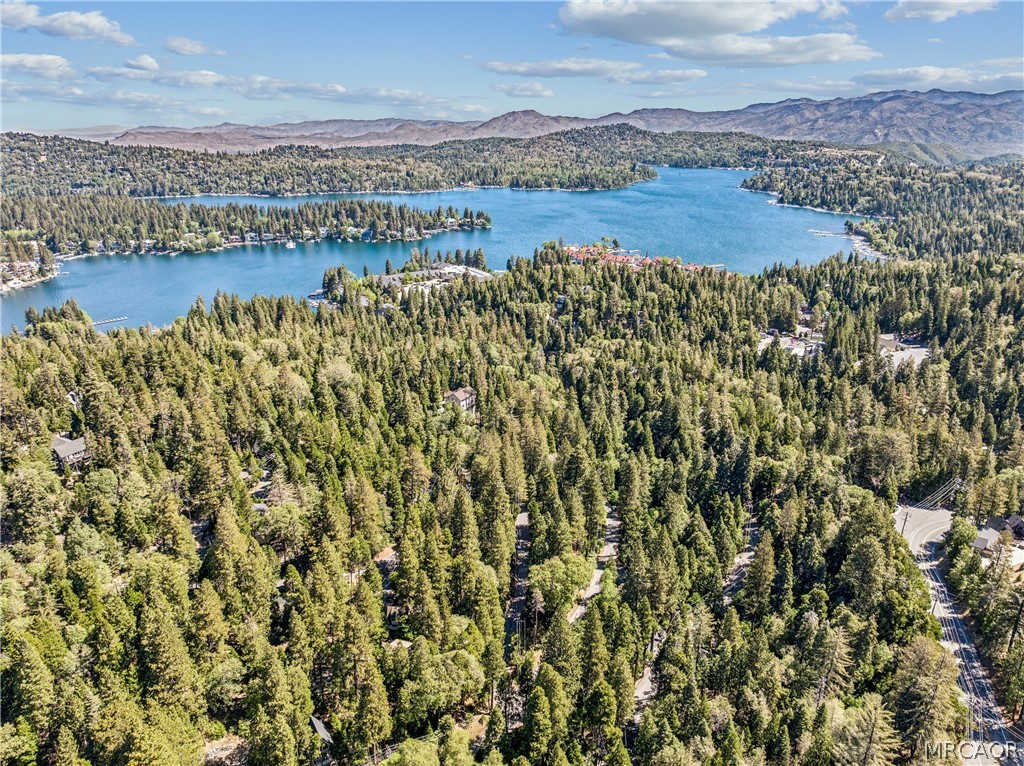 404 Hillside Road Lake Arrowhead, CA 92352 - Photo 26 of 30