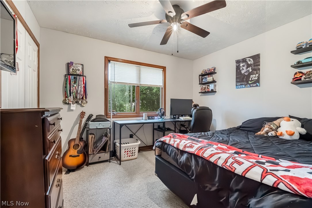 4922 South Ridge Road East Geneva, OH 44041 - Photo 20 of 46 Main-level bedroom offering built-in closet storage, carpeted flooring, ceiling fan, and flexible potential for guest accommodations or a private home office.