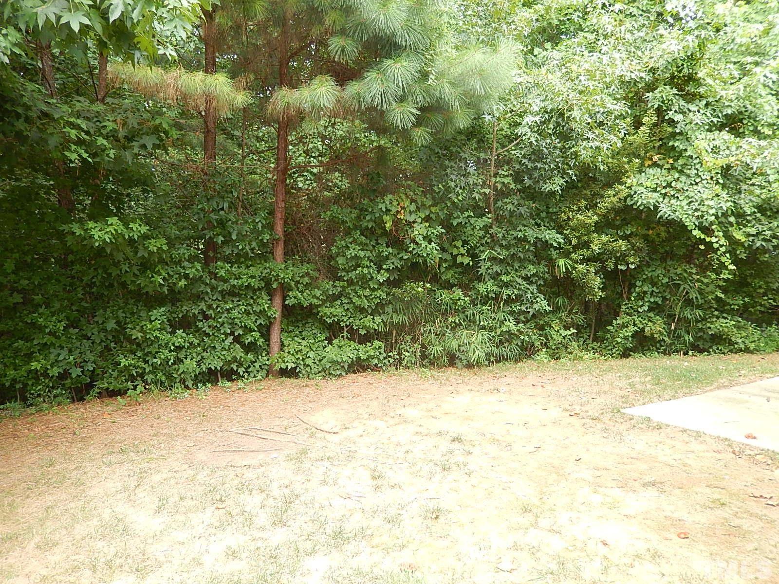 101 Olvera Way Holly Springs, NC 27540 - Photo 25 of 25 a view of a yard with a wooden wall