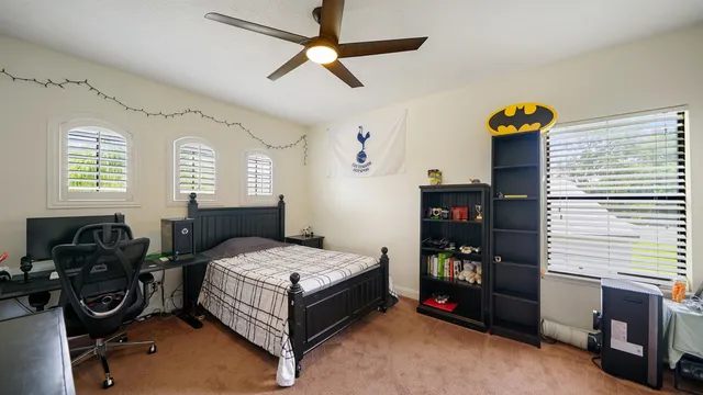 a view of a backyard with a trampoline