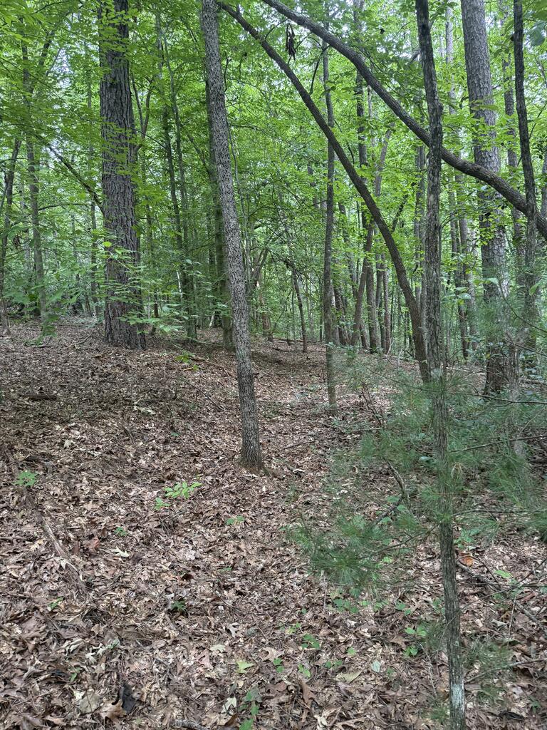 0 Henson Road Hayesville, NC 28904 - Photo 19 of 28 Gallery Image 19