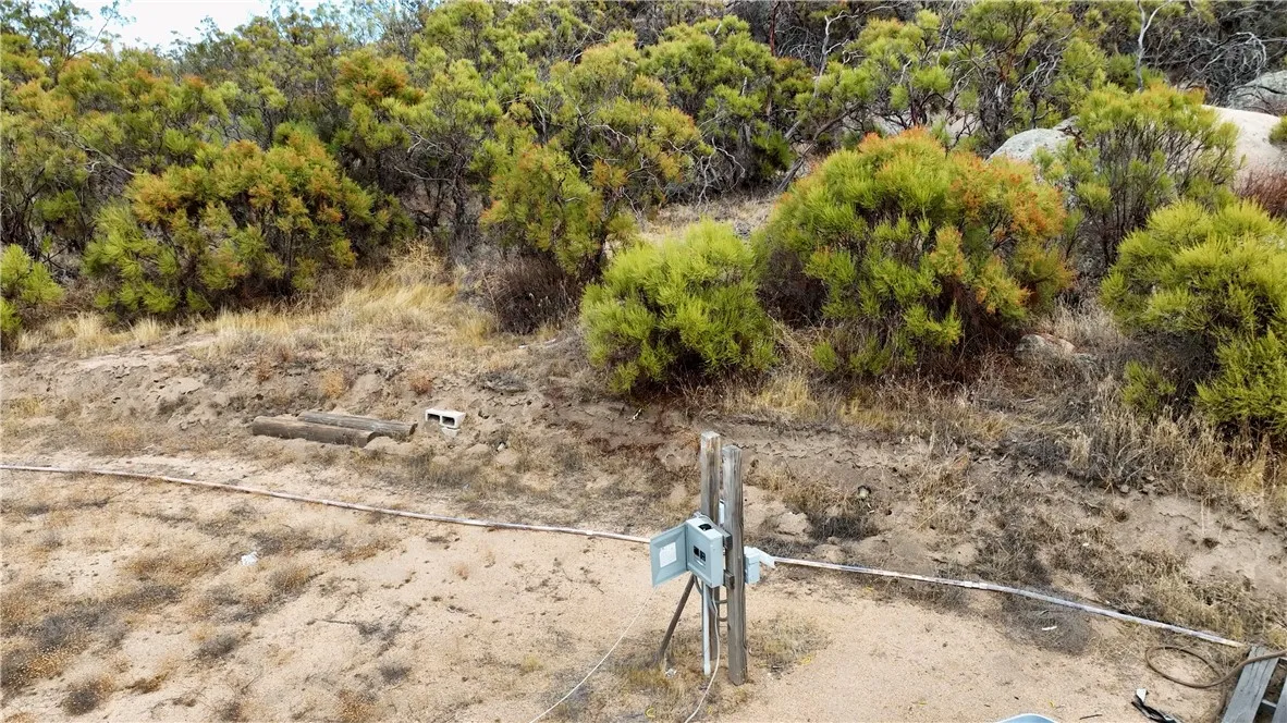 12 Sycamore Spring Road Jamul, CA 91935 - Photo 11 of 21 a view of a dry yard with trees