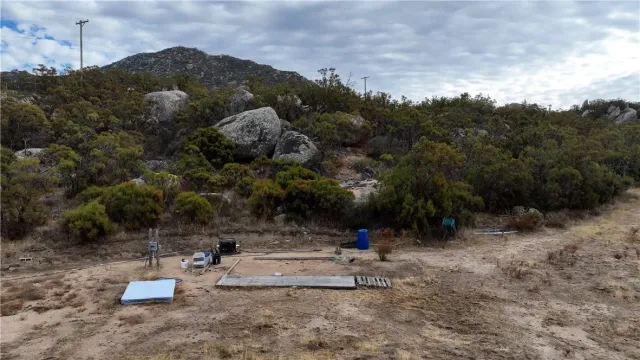 a view of a forest with a mountain