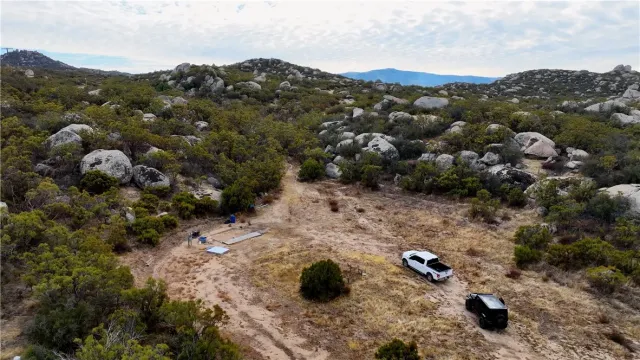 a view of a dry yard with lots of trees