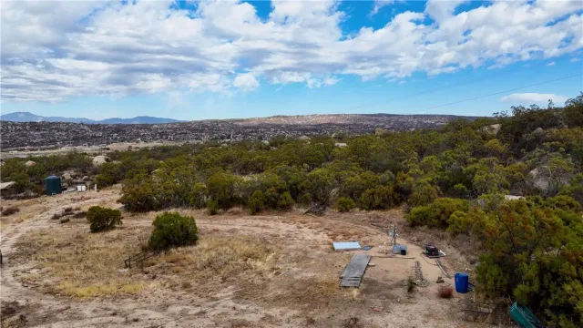 a view of a dry yard with trees