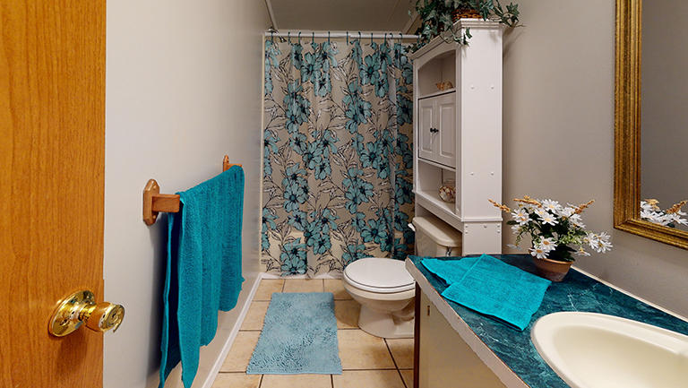 11601 Vonore Road Loudon, TN 37774 - Photo 12 of 25 11601-Vonore-Road-Bathroom