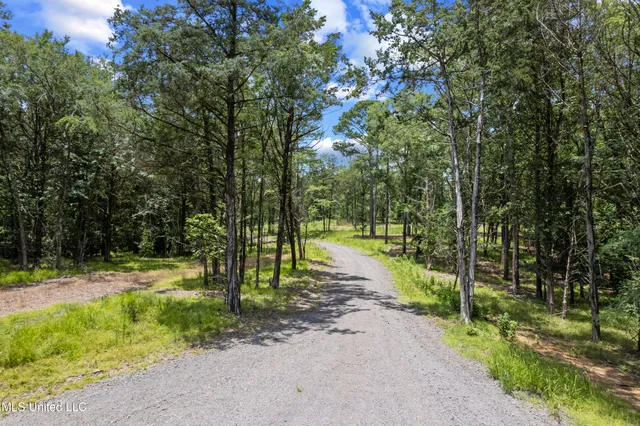 $149,999 | Canyon Ridge, Flora, MS 39071