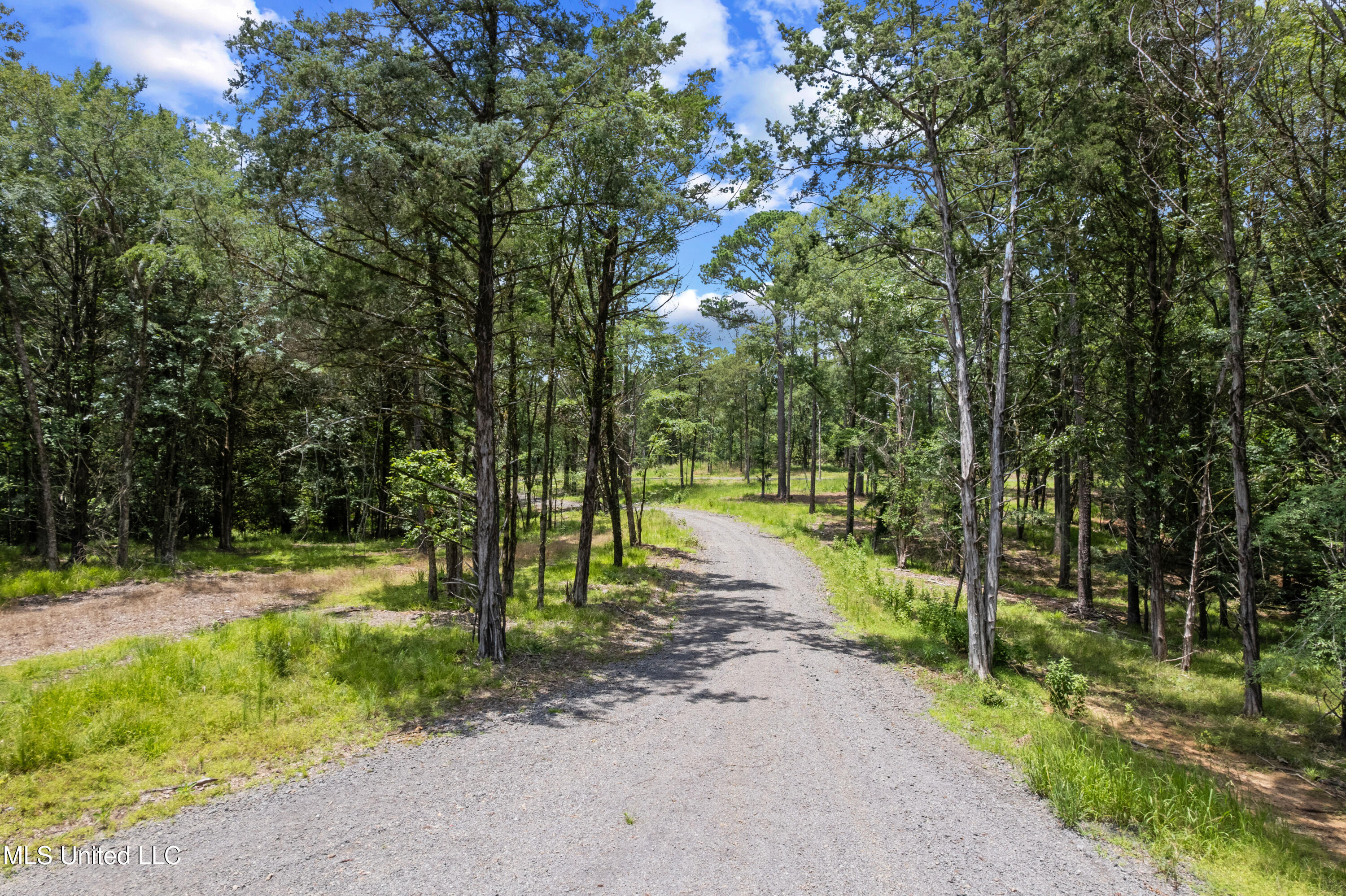 Canyon Ridge Flora, MS 39071 - Photo 2 of 7 DJI_0982