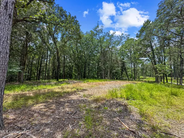 $149,999 | Canyon Ridge, Flora, MS 39071