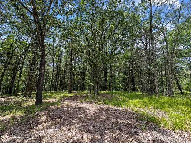 $149,999 | Canyon Ridge, Flora, MS 39071