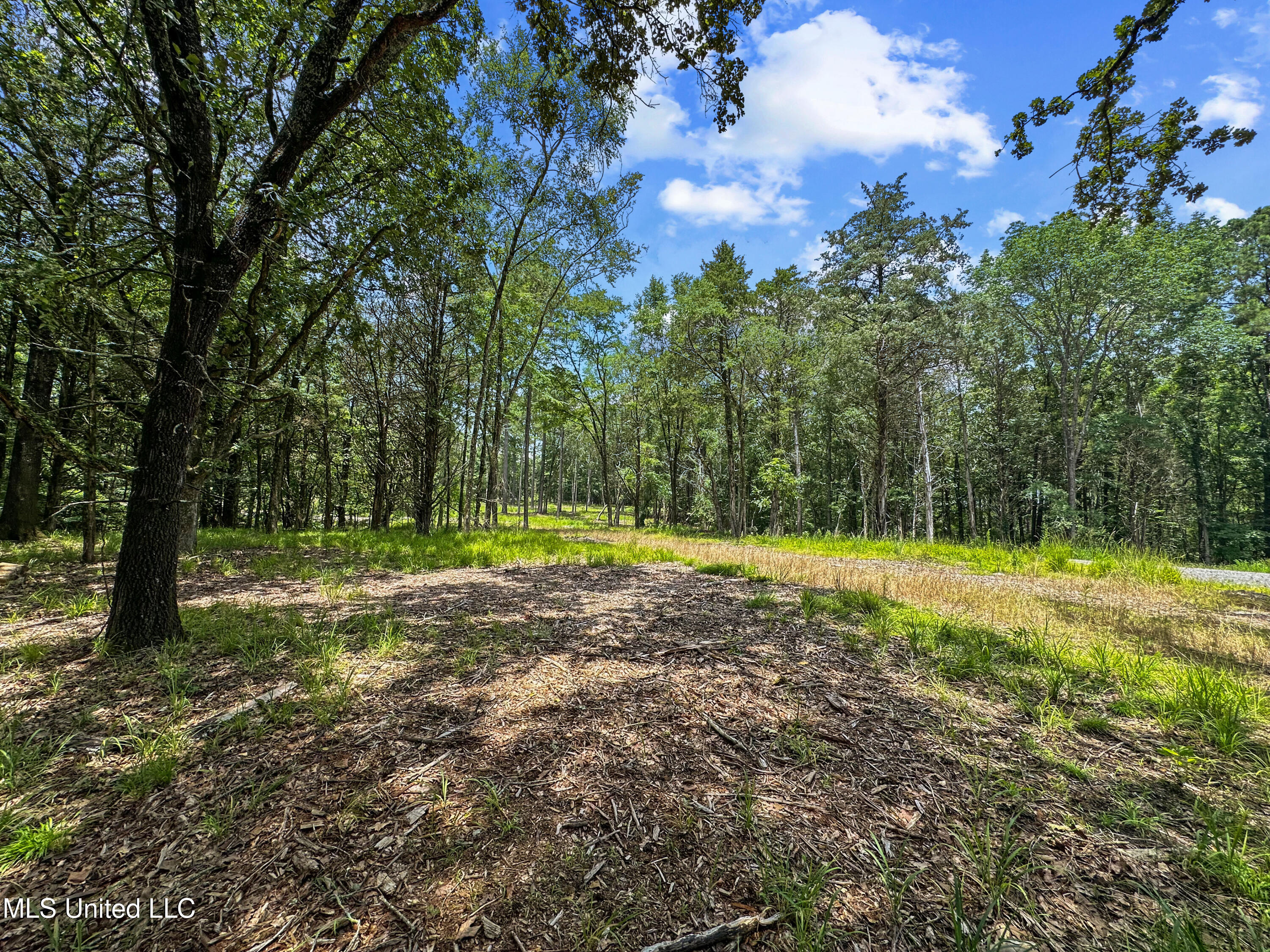Canyon Ridge Flora, MS 39071 - Photo 5 of 7 IMG_5974