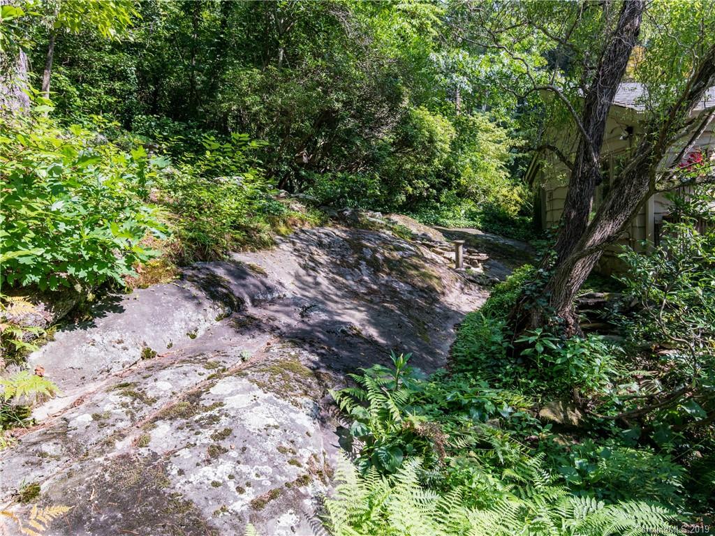 2605 Kanuga Road Hendersonville, NC 28739 - Photo 45 of 48 Gallery Image 45