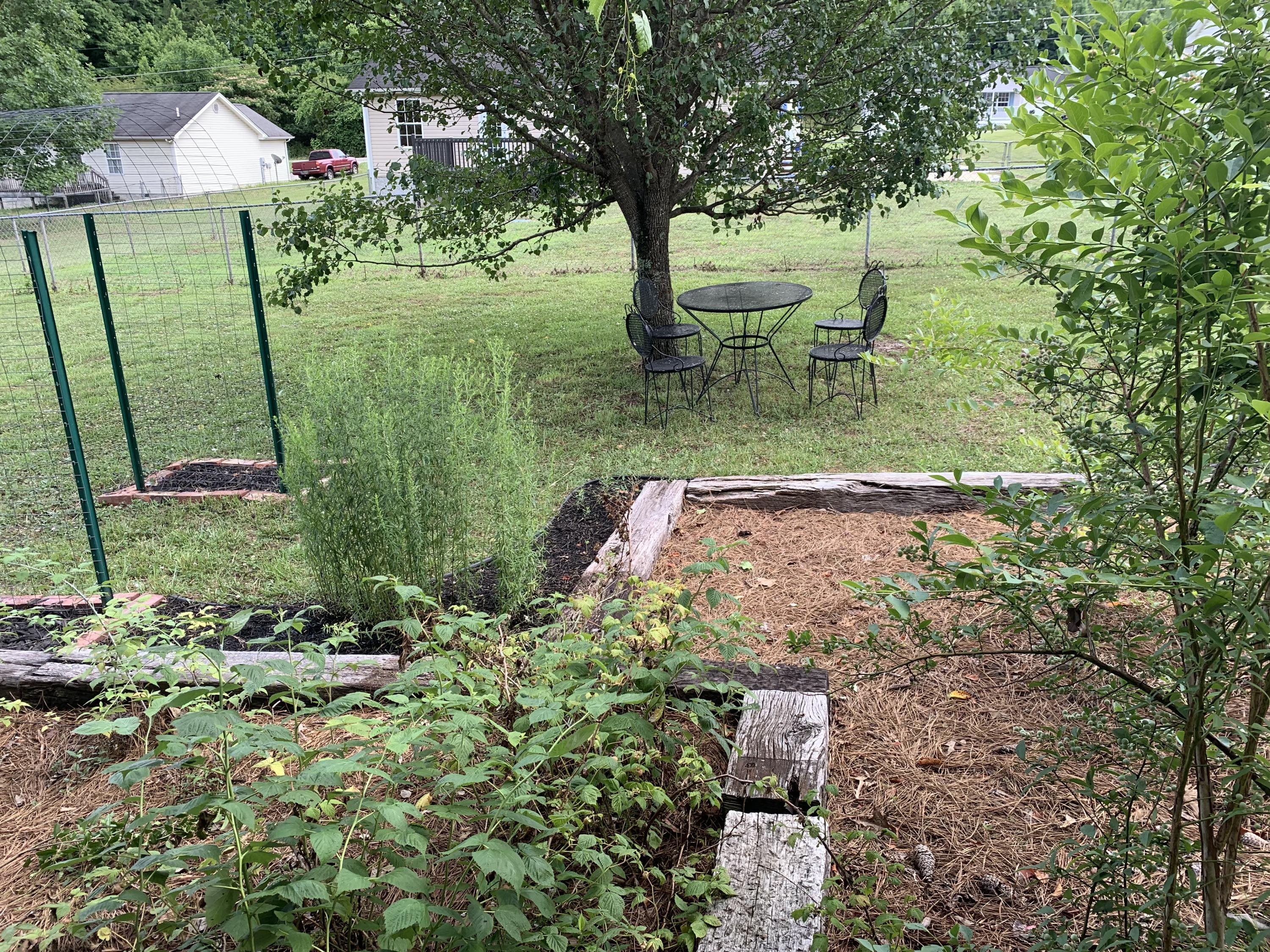 1423 Thatcher Road Soddy Daisy, TN 37379 - Photo 49 of 57 Garden View