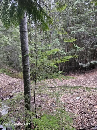 $269,000 | 940 Sled Run Trail, Clark Fork, ID 83811