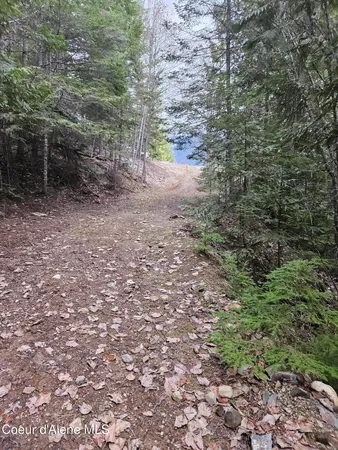 $269,000 | 940 Sled Run Trail, Clark Fork, ID 83811