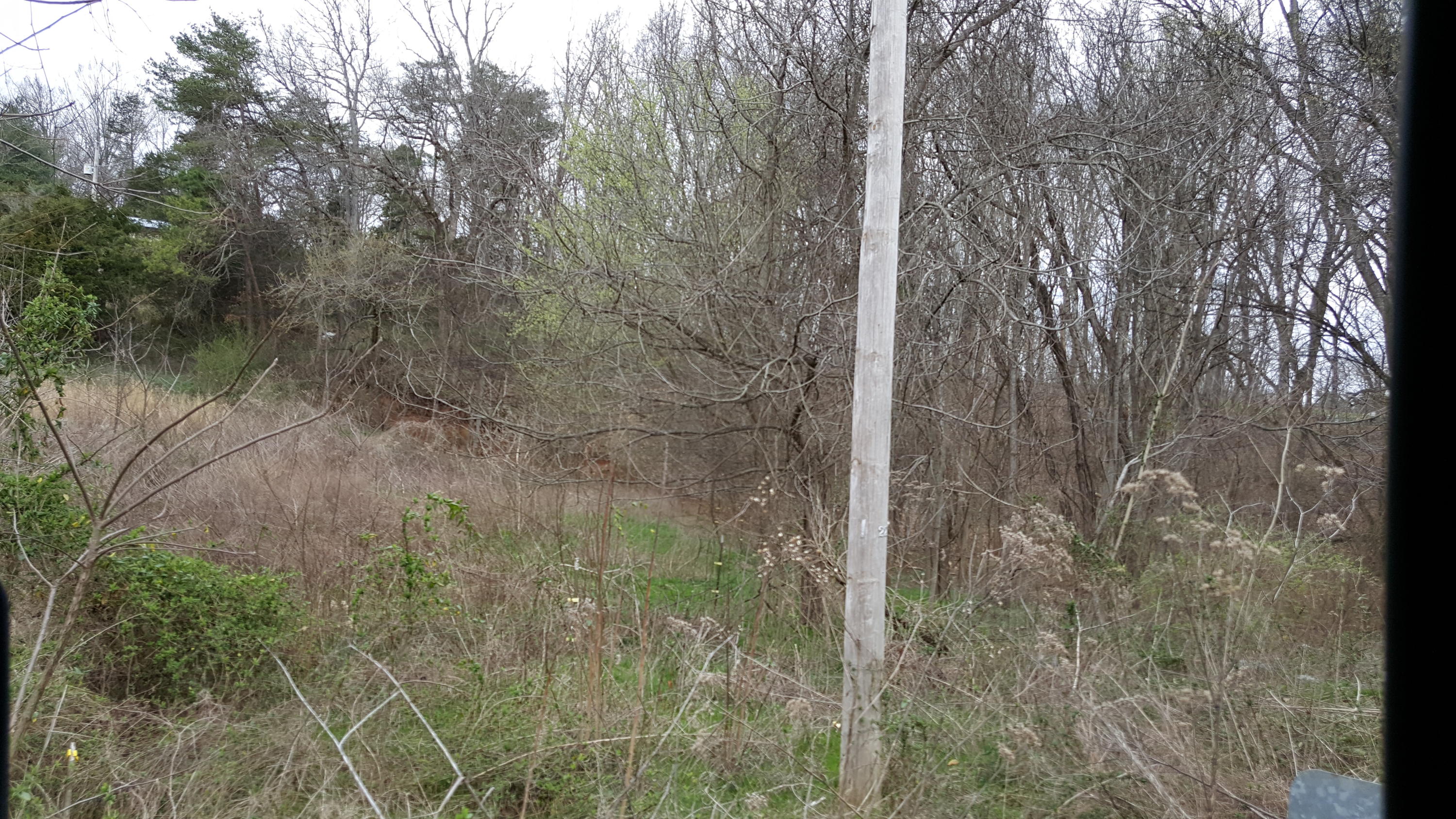 905 Corum Road Knoxville, TN 37924 - Photo 1 of 8 Corum 1