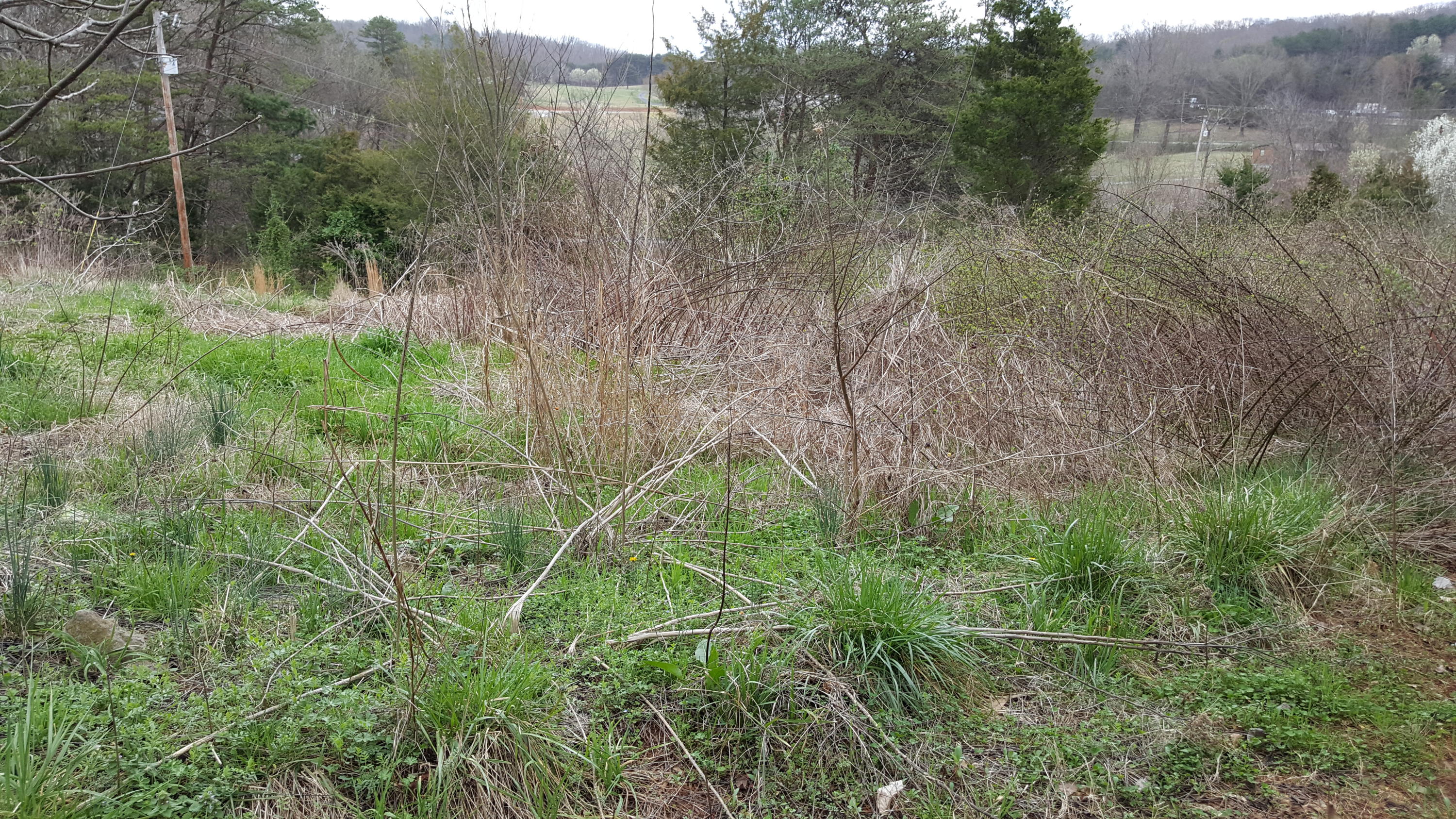 905 Corum Road Knoxville, TN 37924 - Photo 5 of 8 corum 5