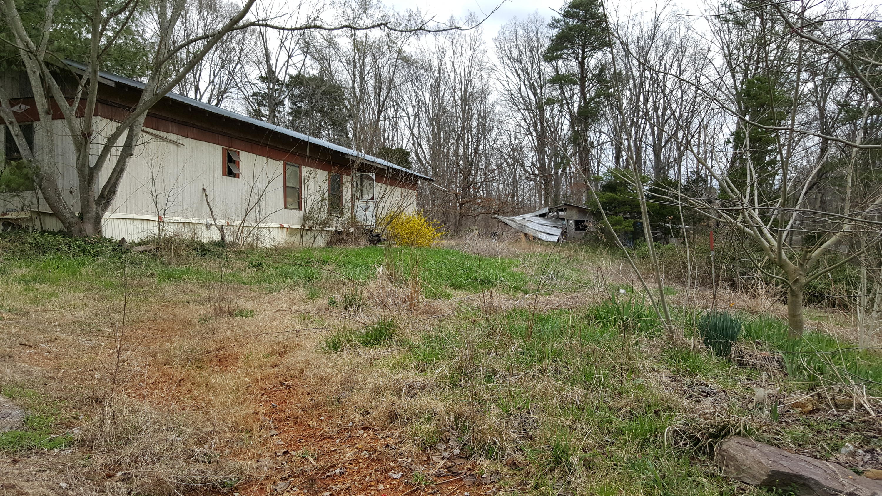 905 Corum Road Knoxville, TN 37924 - Photo 7 of 8 corum 7