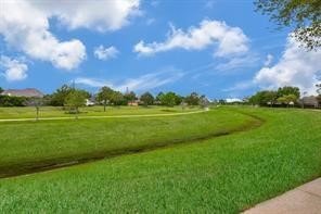 25411 Overbrook Terrace Lane Katy, TX 77494 - Photo 30 of 30 Wow! Your community has obviously made a deal with Mother Nature on green carpeting!