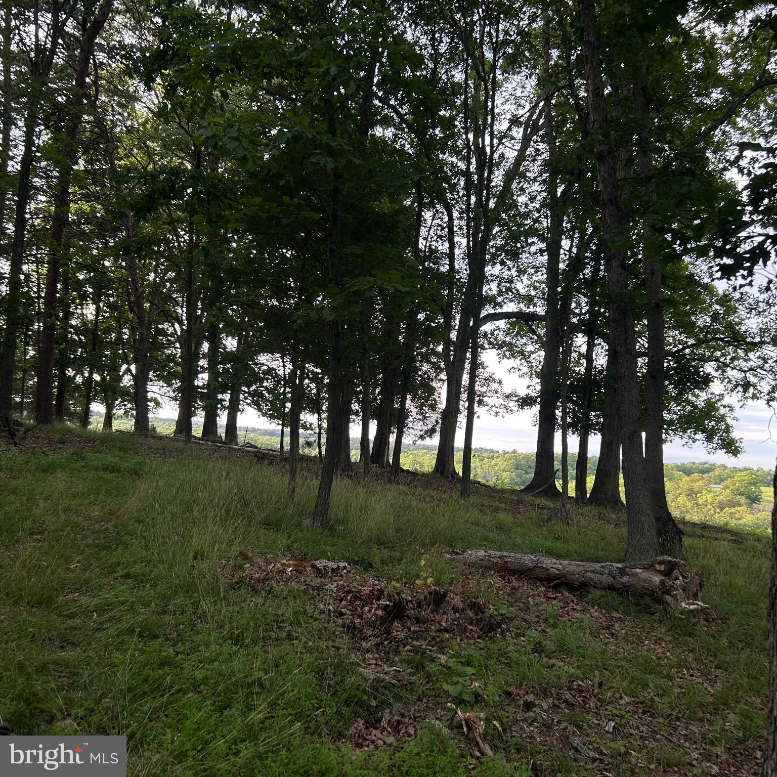 0 Headsville Road Keyser, WV 26726 - Photo 23 of 46