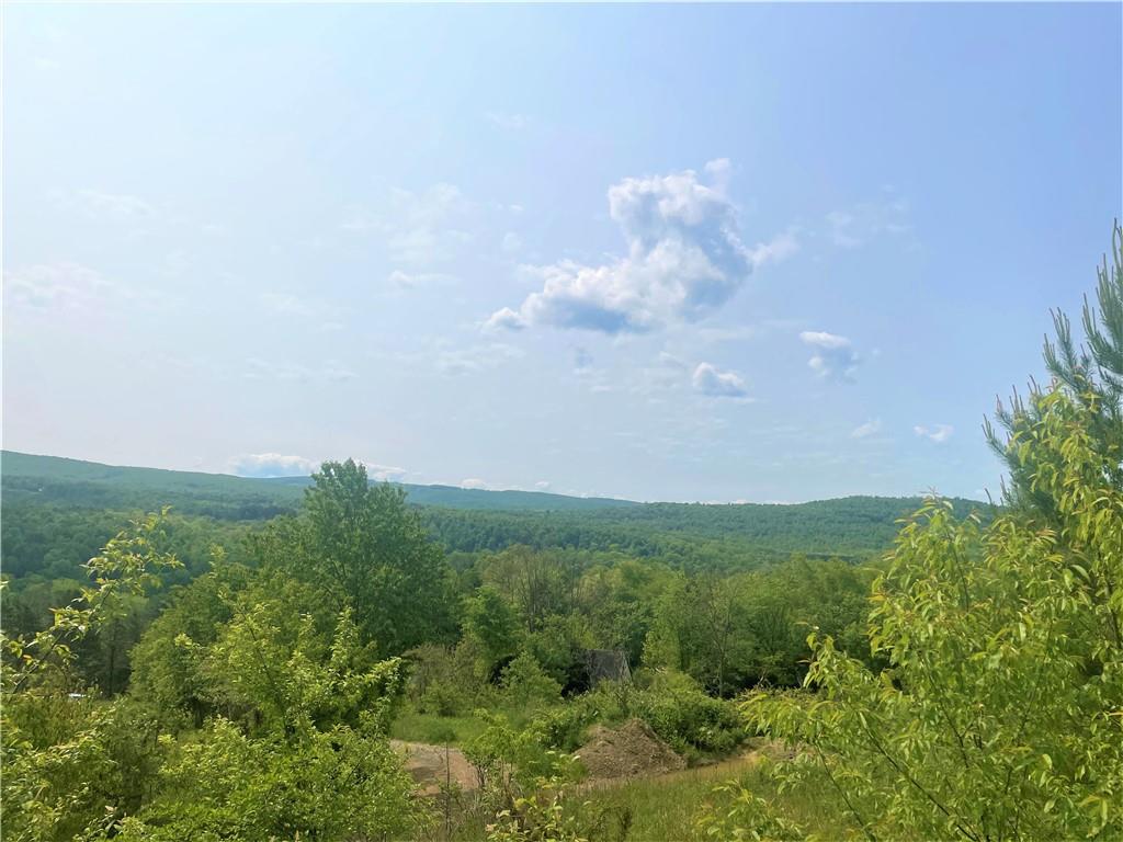 21 Ritenour Ridge Melcroft, PA 15462 - Photo 34 of 39