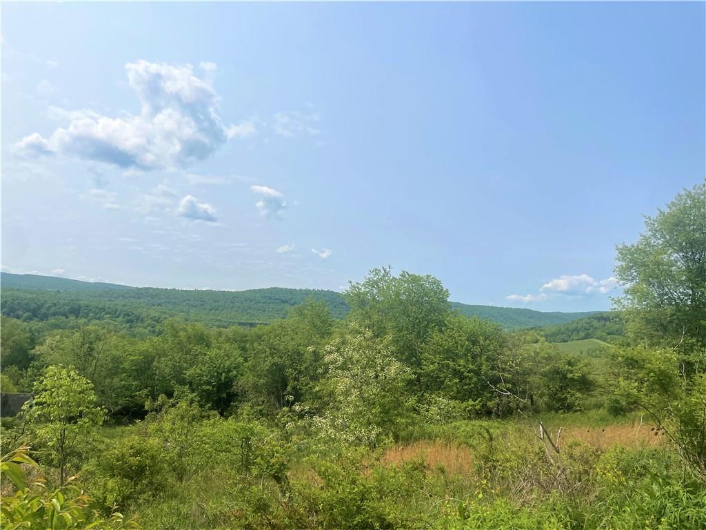 21 Ritenour Ridge Melcroft, PA 15462 - Photo 35 of 39