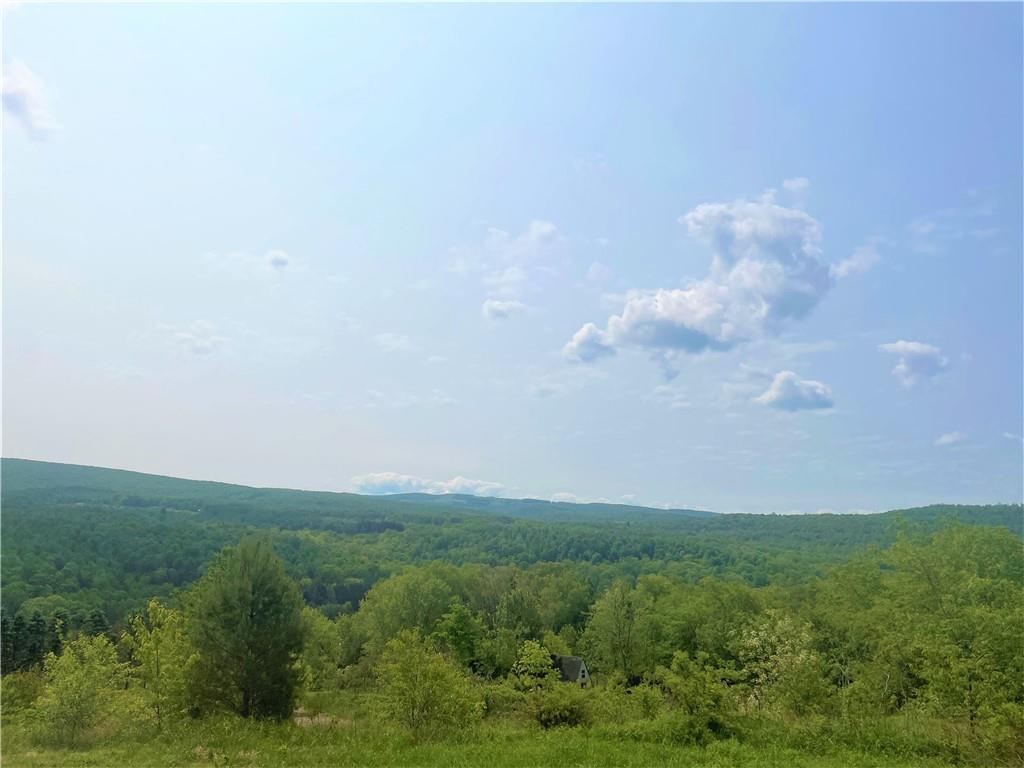 21 Ritenour Ridge Melcroft, PA 15462 - Photo 36 of 39