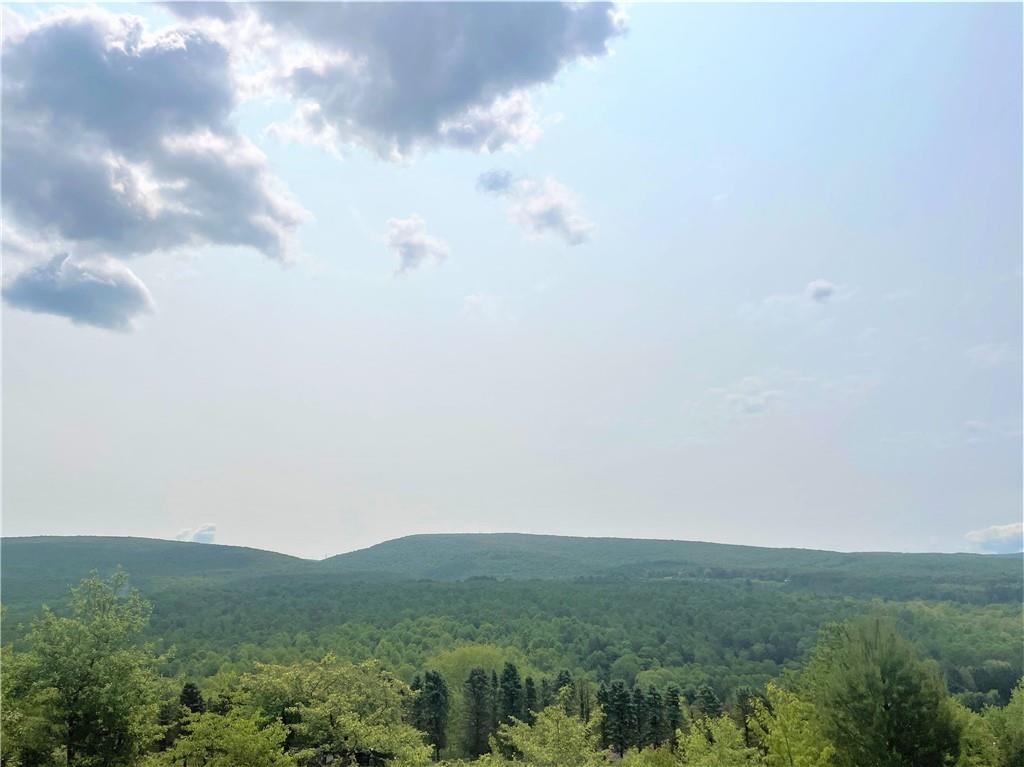 21 Ritenour Ridge Melcroft, PA 15462 - Photo 4 of 39