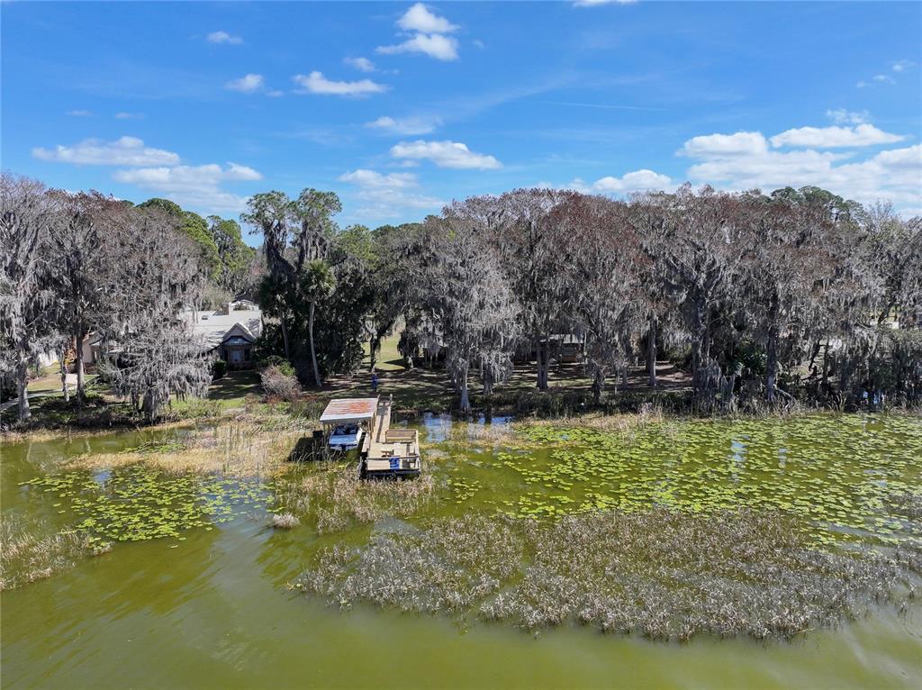 31035 Cove Road Tavares, FL 32778 - Photo 9 of 13