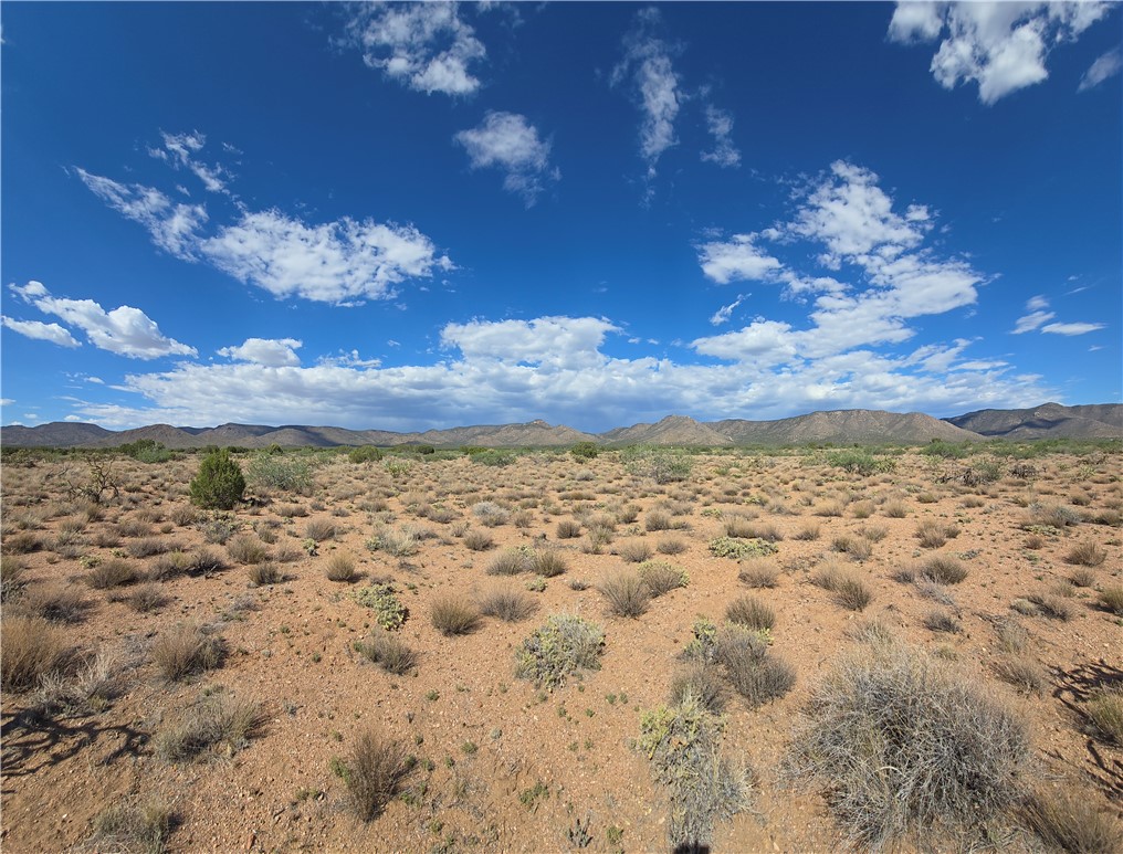 353-36-158 North Tyree Road Hackberry, AZ 86411 - Photo 9 of 19