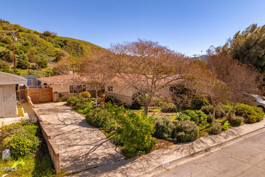 a view of a backyard