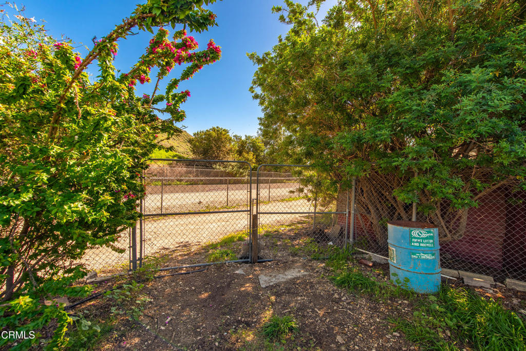 616 Island View Street Fillmore, CA 93015 - Photo 41 of 57 a view of a yard with plants and large trees