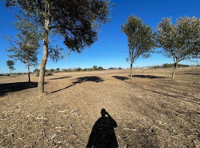 22099 Sattler Road Winnie, TX 77665 - Photo 16 of 20 a view of ocean view with large trees