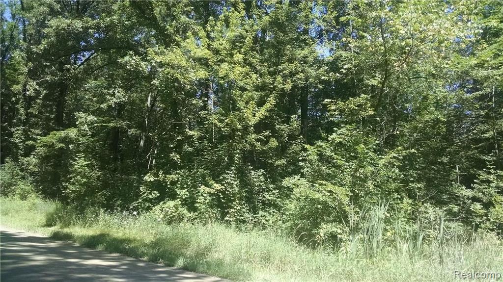 0 Coon Lake Road Fowlerville, MI 48836 - Photo 4 of 7