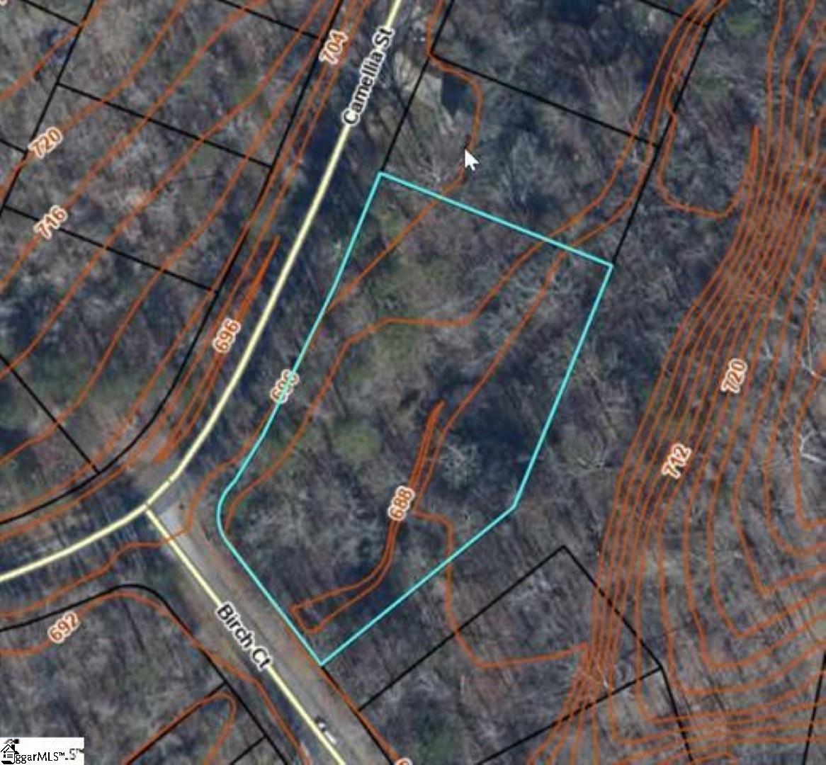 0 Birch Court Westminster, SC 29693 - Photo 2 of 13