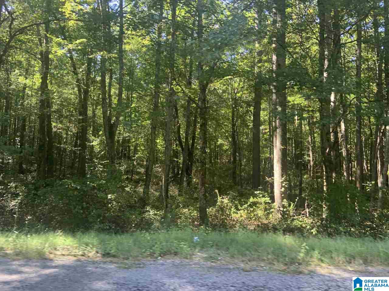 0 Mountainboro Road Boaz, AL 35956 - Photo 5 of 9 Gallery Image 5