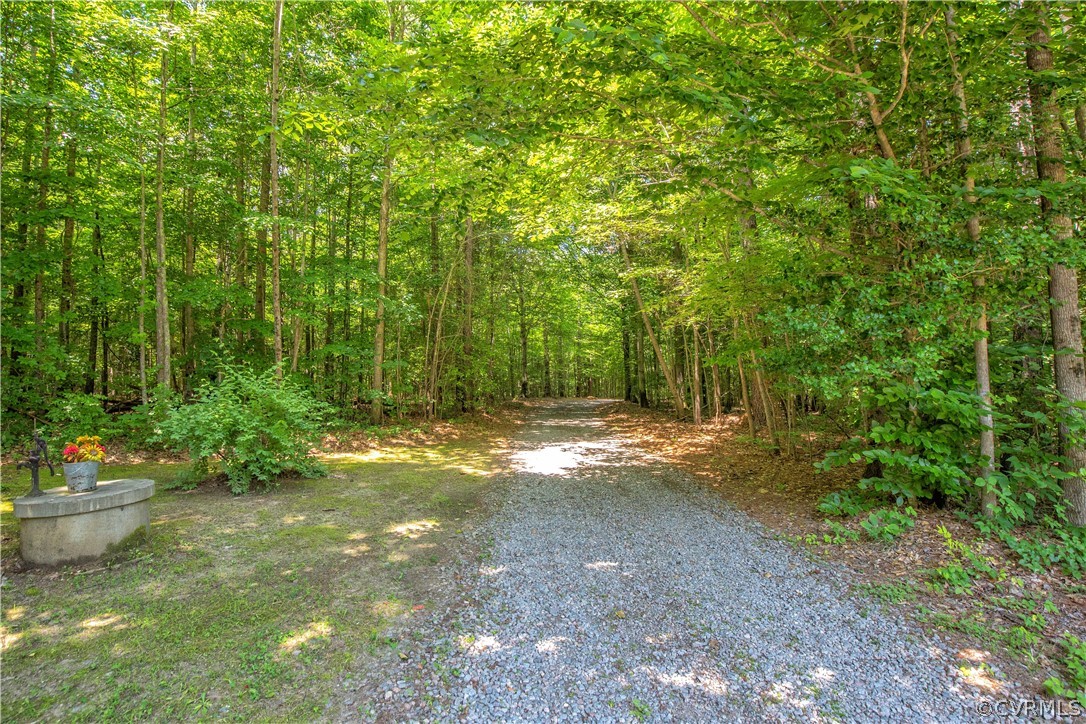 14940 Lebanon Road Spring Grove, VA 23881 - Photo 4 of 30 PRIVATE DRIVE