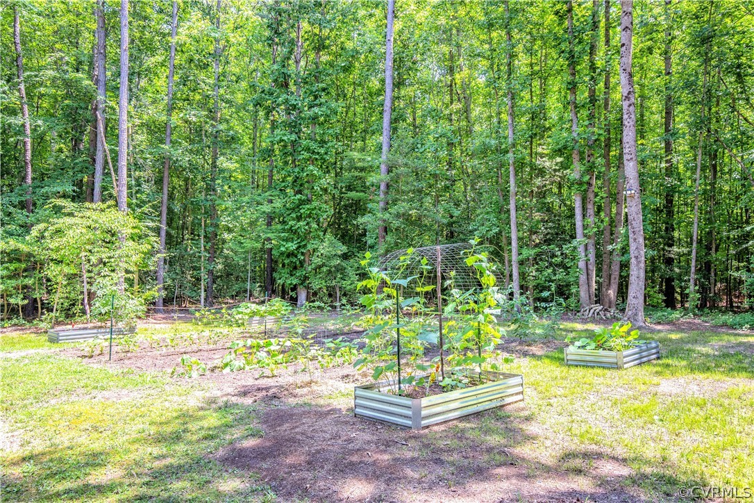 14940 Lebanon Road Spring Grove, VA 23881 - Photo 6 of 30 VEGETABLE GARDEN IN BLOOM