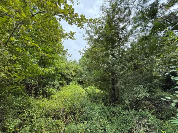 $22,000 | 0 Summer Drive, Barnwell, SC 29812