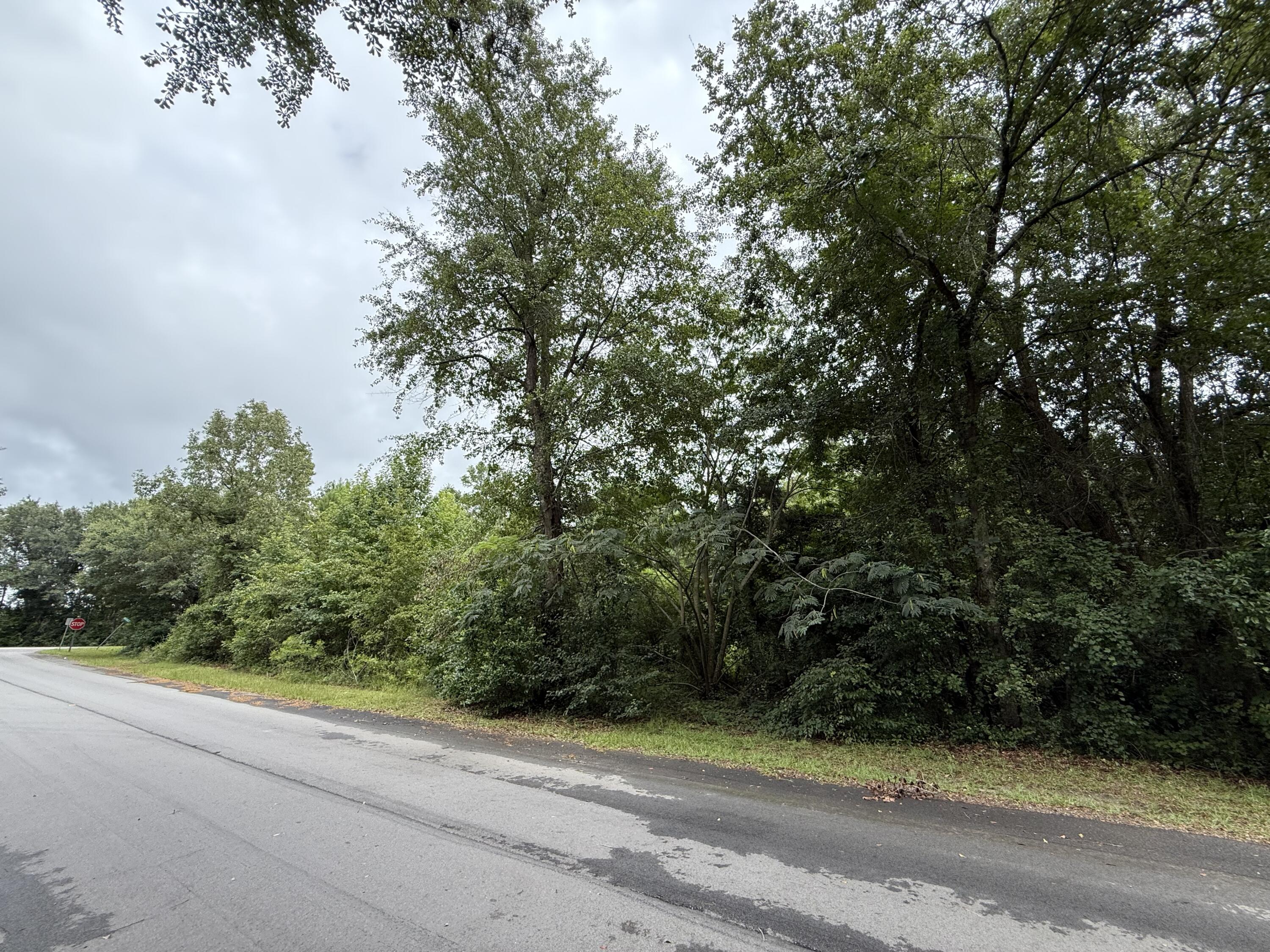 0 Summer Drive Barnwell, SC 29812 - Photo 2 of 14 IMG_2561