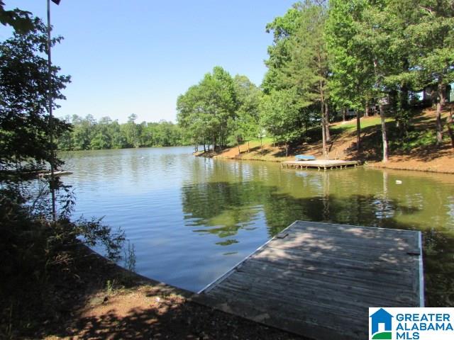 175 Aaron Drive Wedowee, AL 36278 - Photo 21 of 23