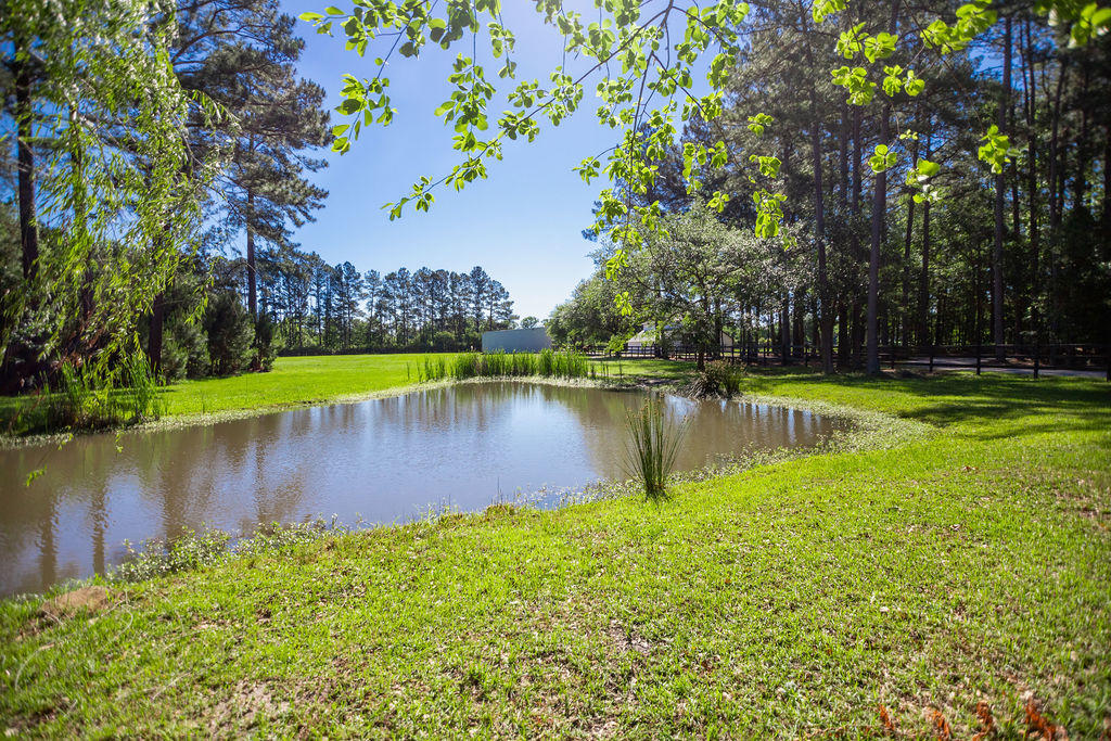 104 State Rd S-15-92 Walterboro, SC 29488 - Photo 56 of 75 IMG_5093